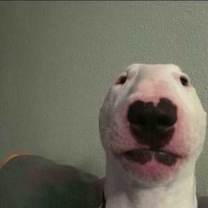 Meet your Posher, Snappy